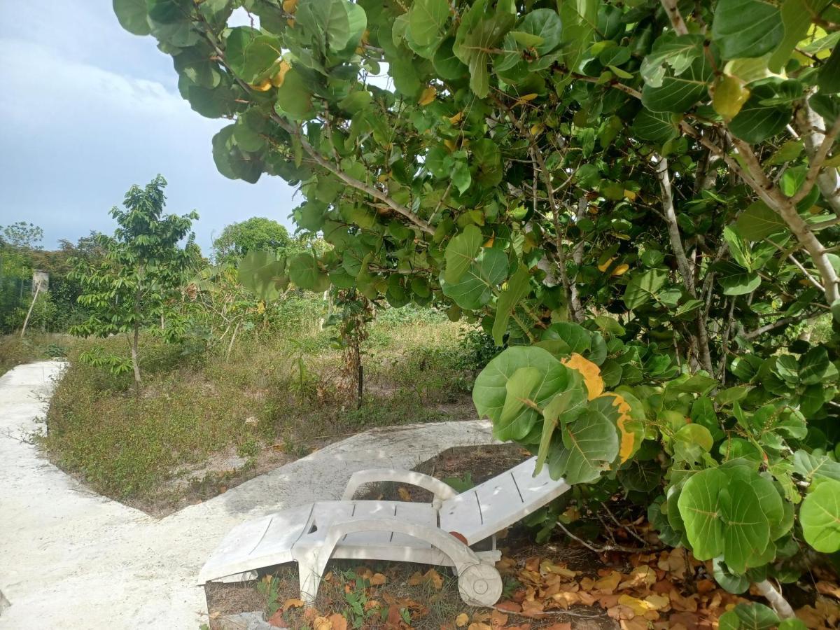 Villa Le champs des oiseaux à Anse-Bertrand Extérieur photo