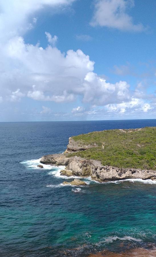 Villa Le champs des oiseaux à Anse-Bertrand Extérieur photo